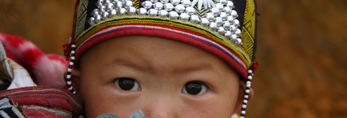 Rural Vietnam - Image 2