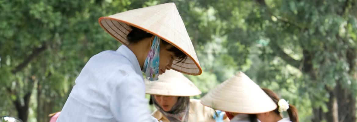 Rural Vietnam - Image 3