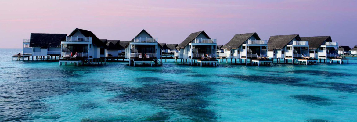 Sri Lanka and the Maldives - Image 4