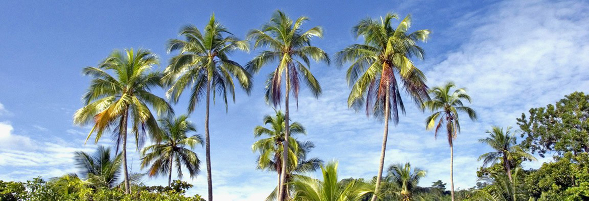 Romantic Costa Rica - Image 6