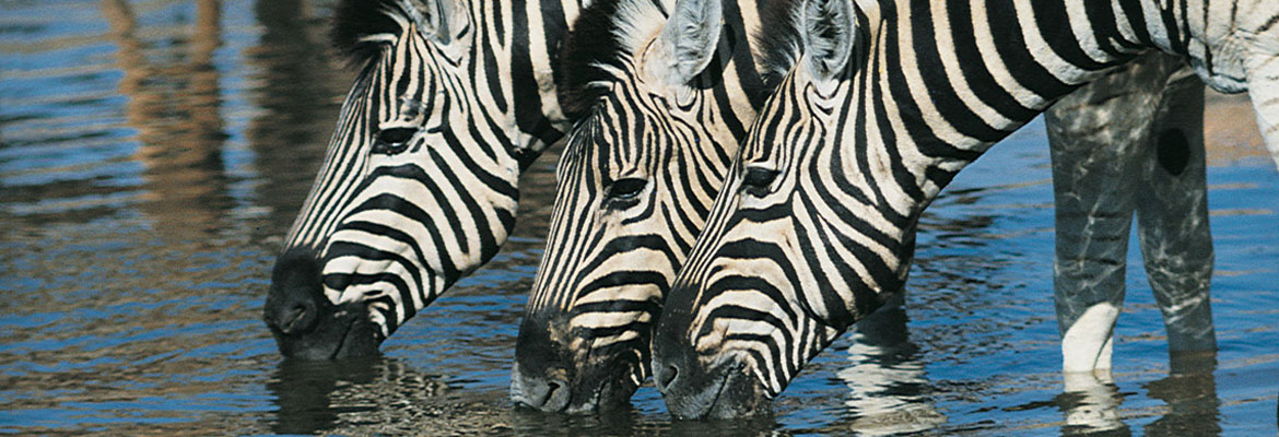 Namibia on a Budget - Image 6