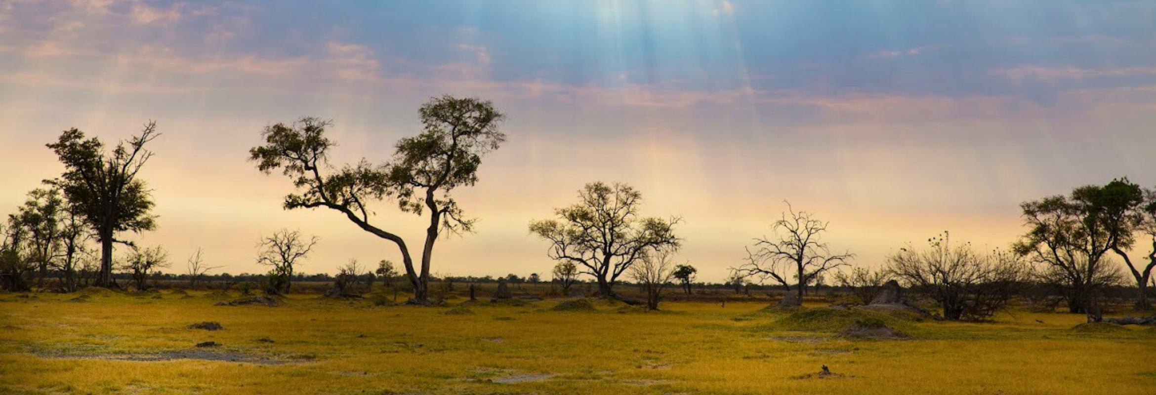 Botswana Safari on a Shoestring - Image 8