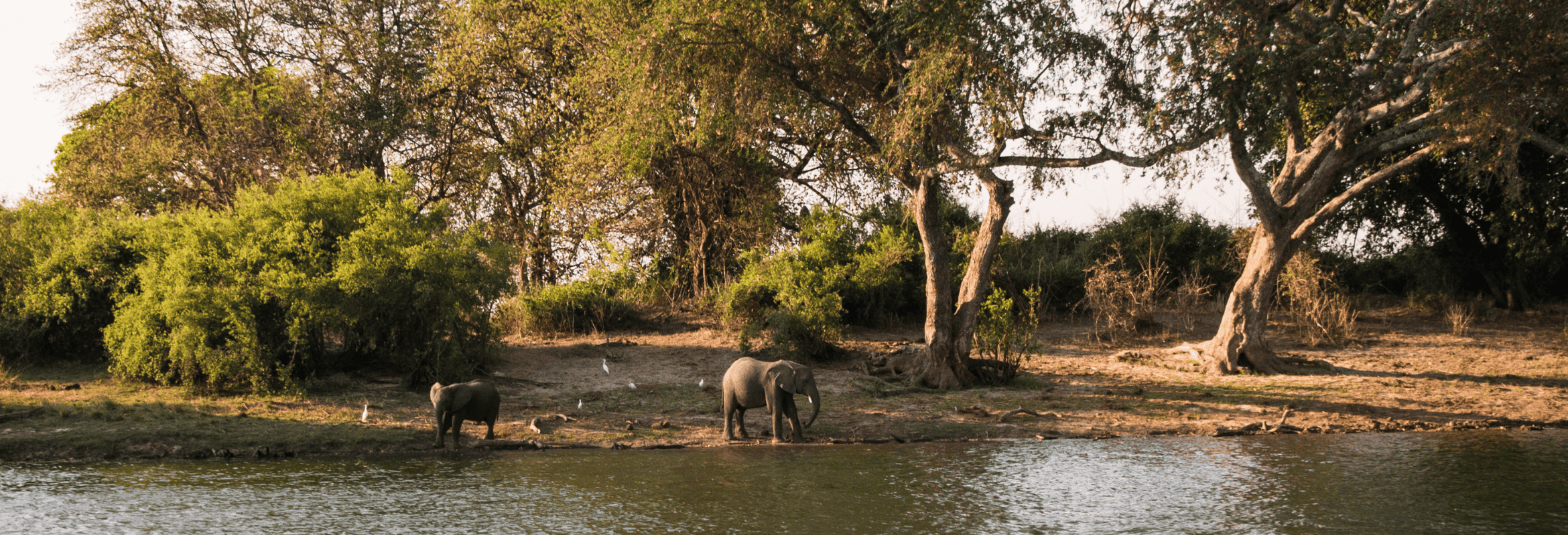Cape Town to Dar es Salaam Luxury Rovos Rail Journey - Image 3