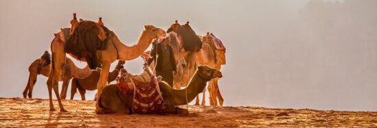 Jordan Off The Beaten Track - Image 6
