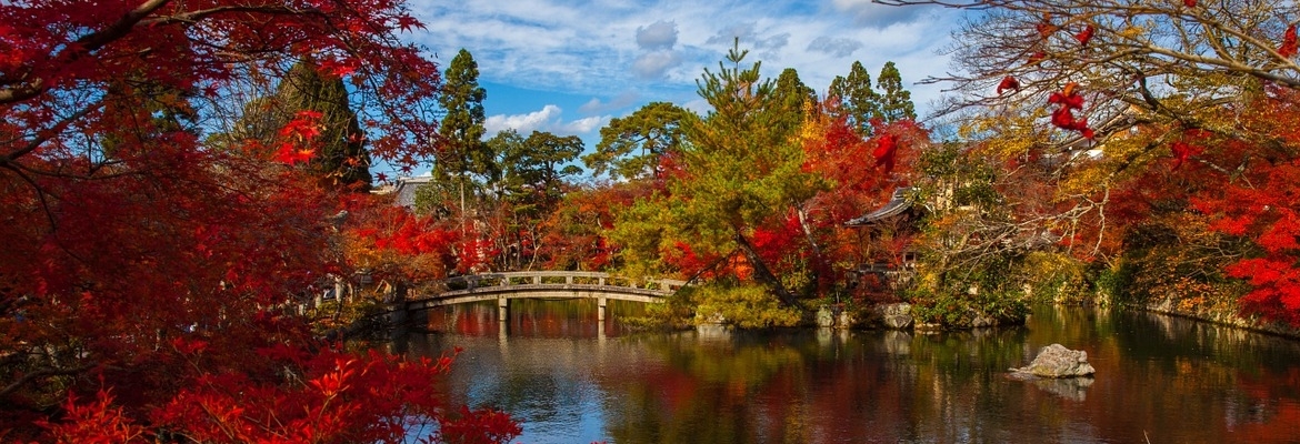 Authentic Japan - Image 4