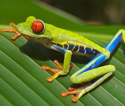 Costa Rica tours