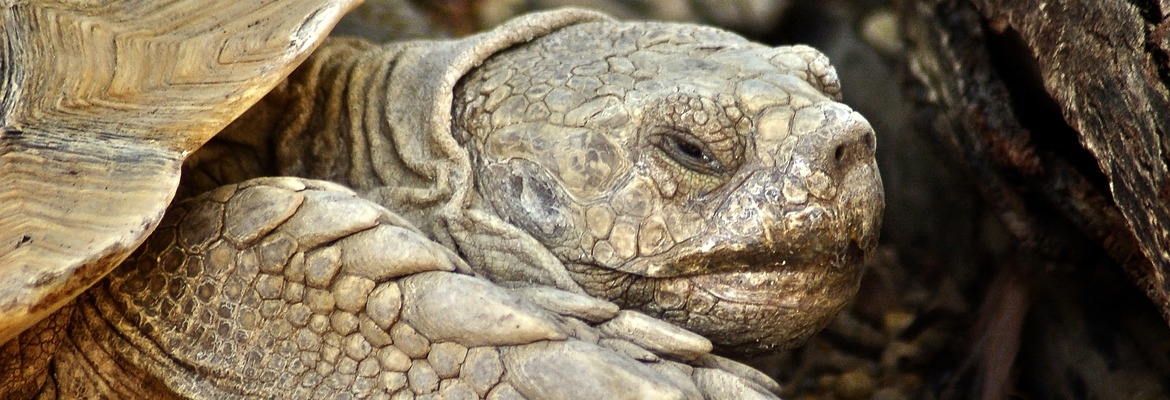 Galapagos & Ecuador - Image 5