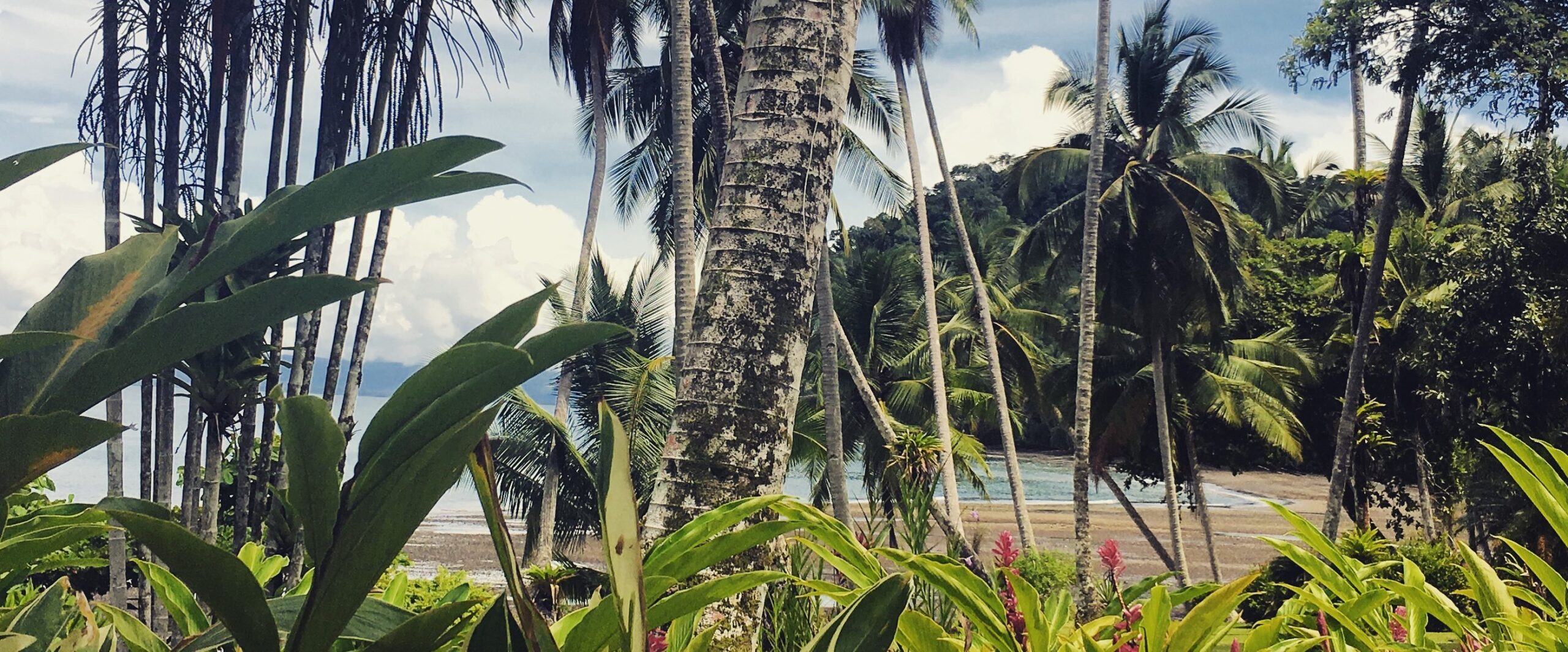 Costa Rica on a Shoestring