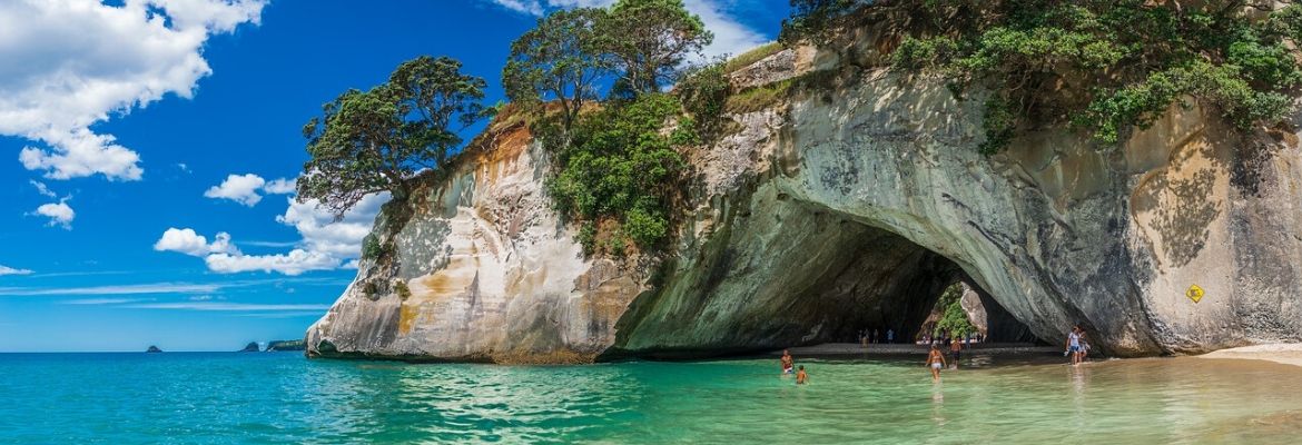 New Zealand North Island Trekking Adventure - Image 5