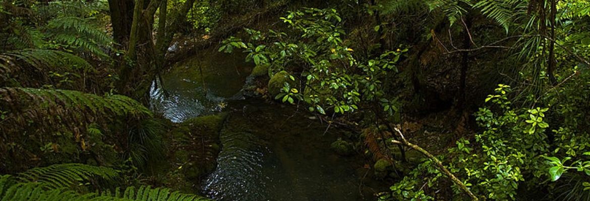 New Zealand North Island Trekking Adventure - Image 3