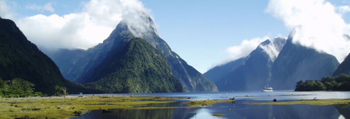 New Zealand South Island's Glaciers & Fjords - Image 4