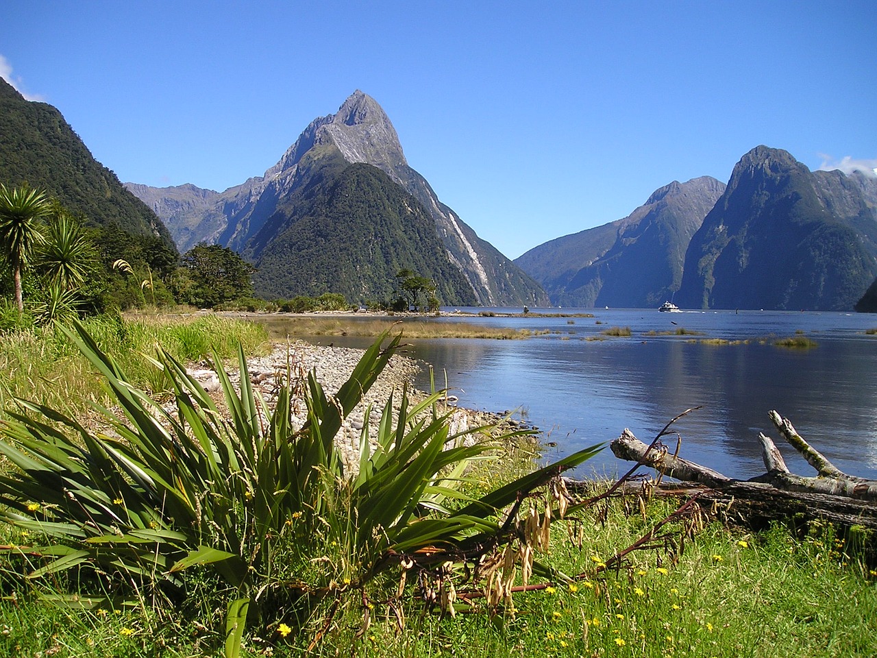new zealand tours