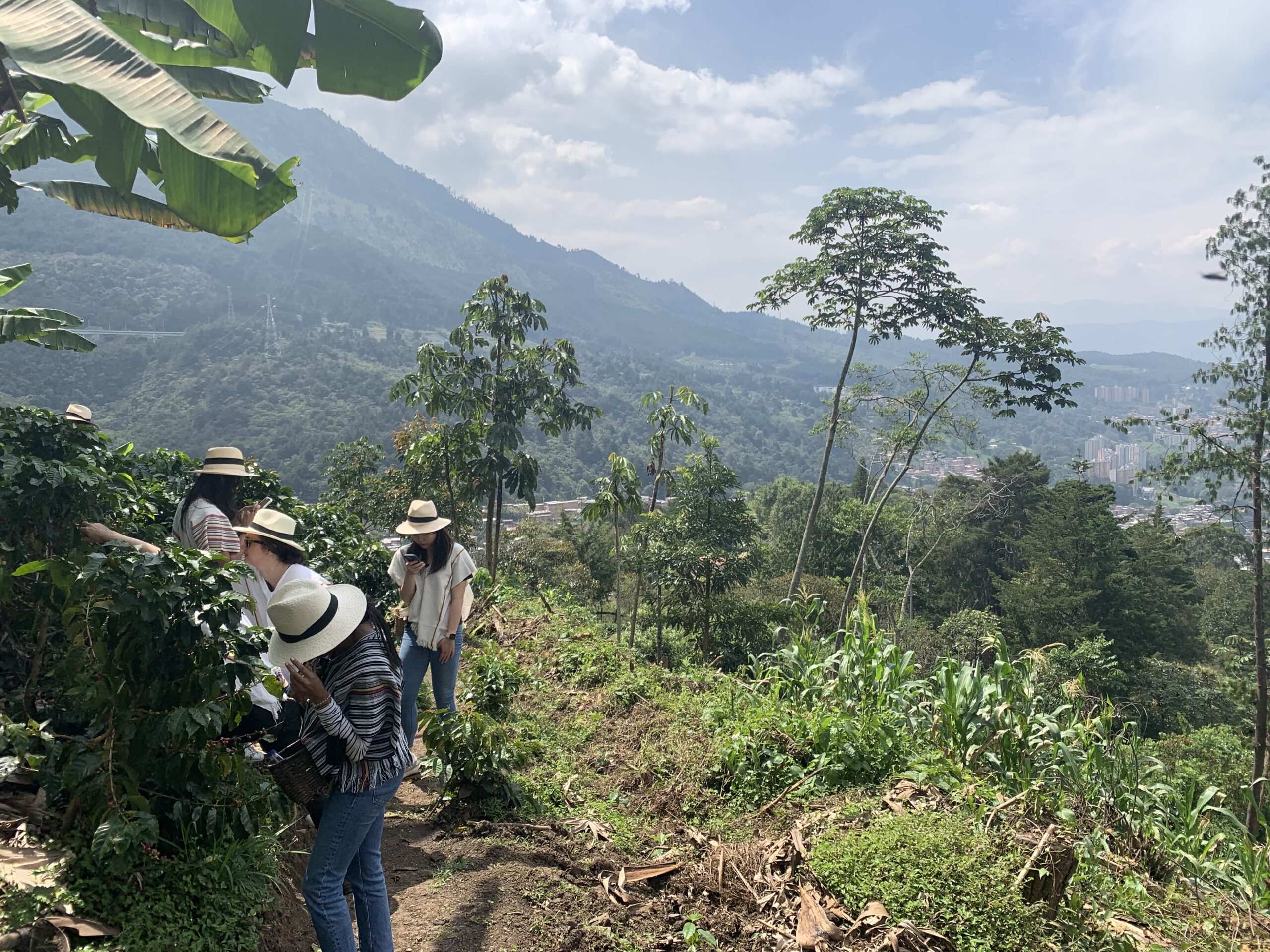 Colombia Adventure & Activity - Image 5