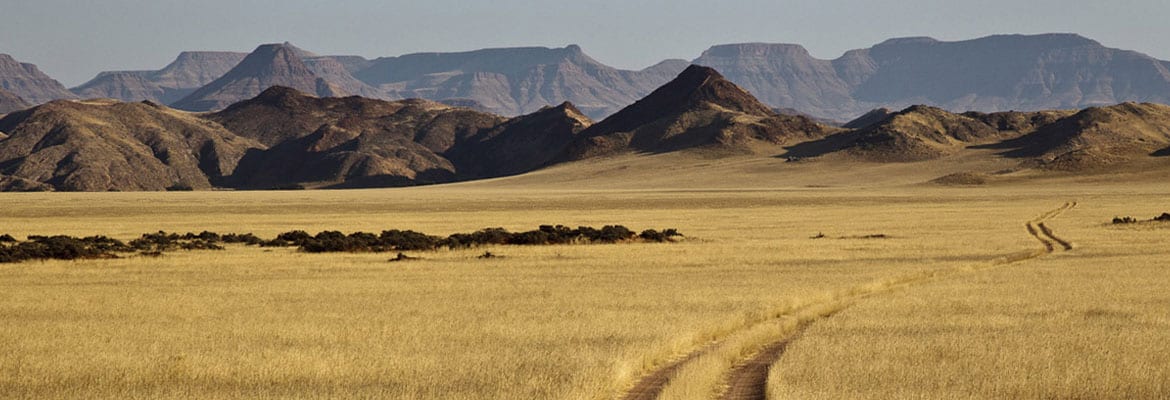Namibian Self Drive Safari - Image 8