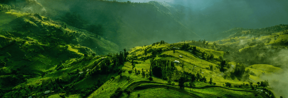 Natural Ecuador Andes Excursion - Image 2
