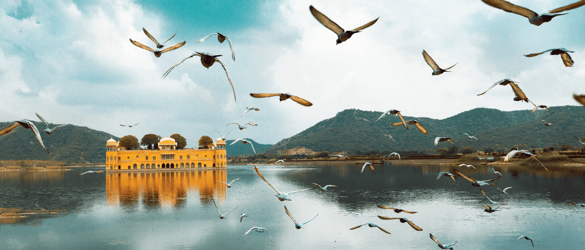 Discovering Rajasthan