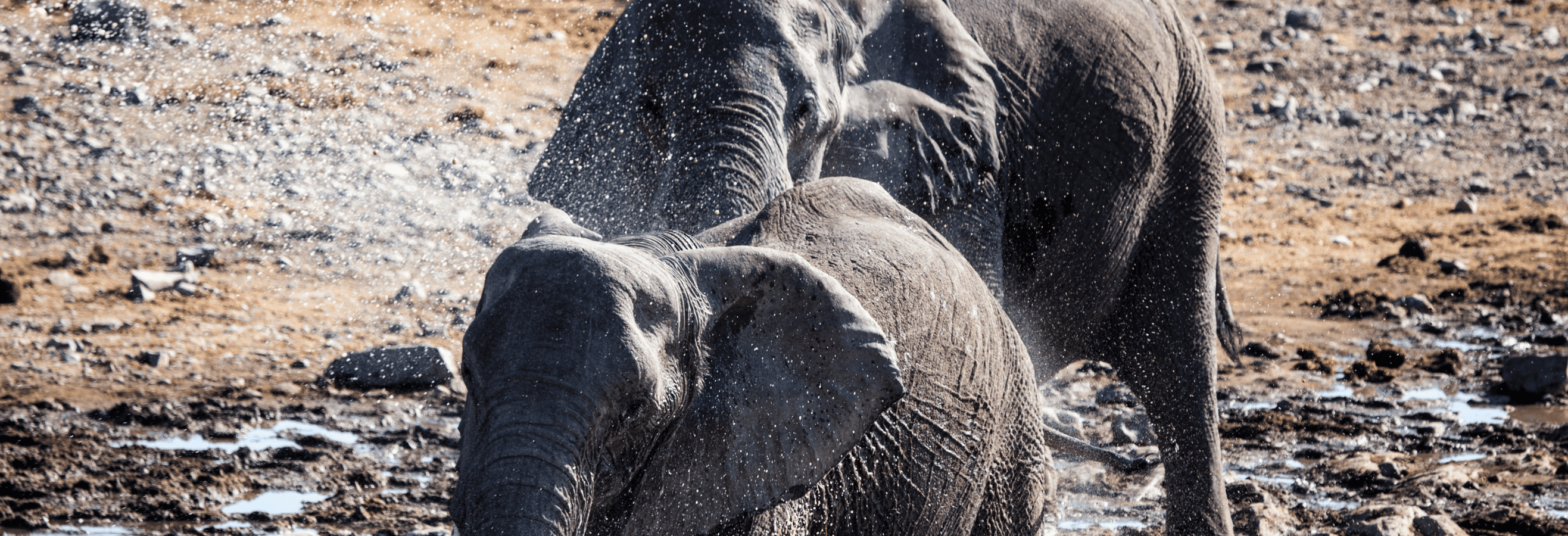 Namibia Guided Tour - Image 2