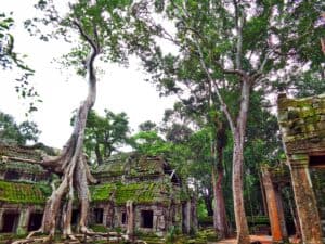 when angkor wat built