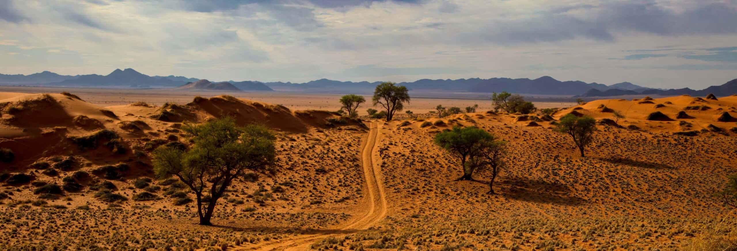 Namibia Guided Tour - Image 5