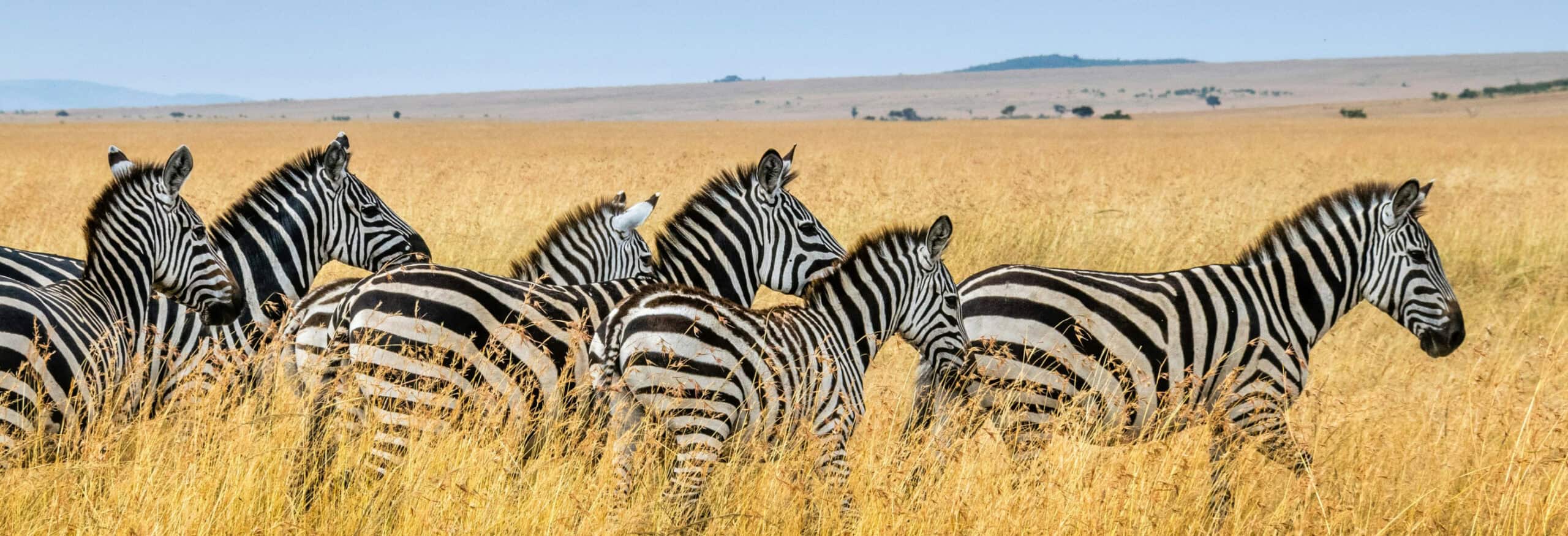 Namibia Camping Tour - Image 4