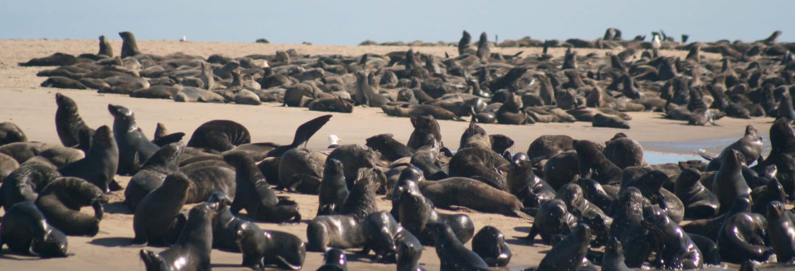 Namibia Camping Tour - Image 6