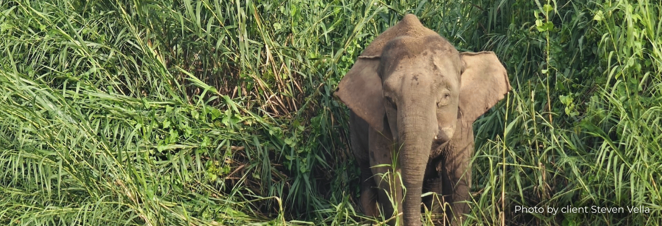 Borneo on a Shoestring - Image 9