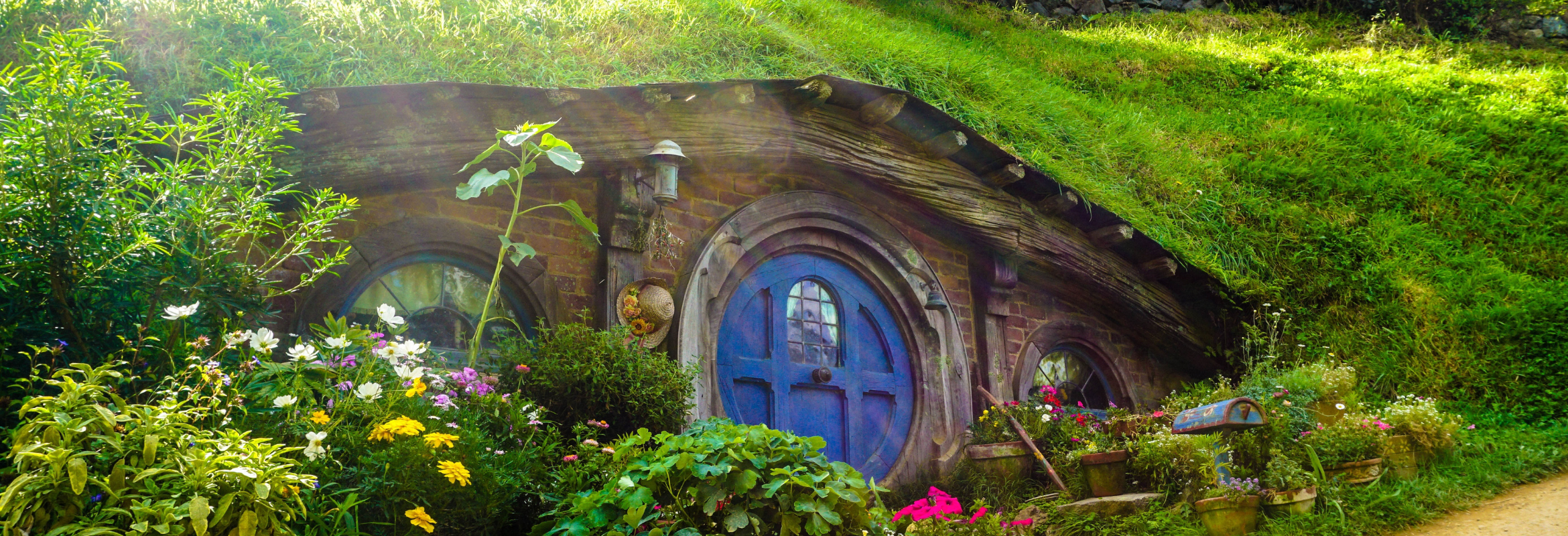 New Zealand Journey Tours & Train - Image 6