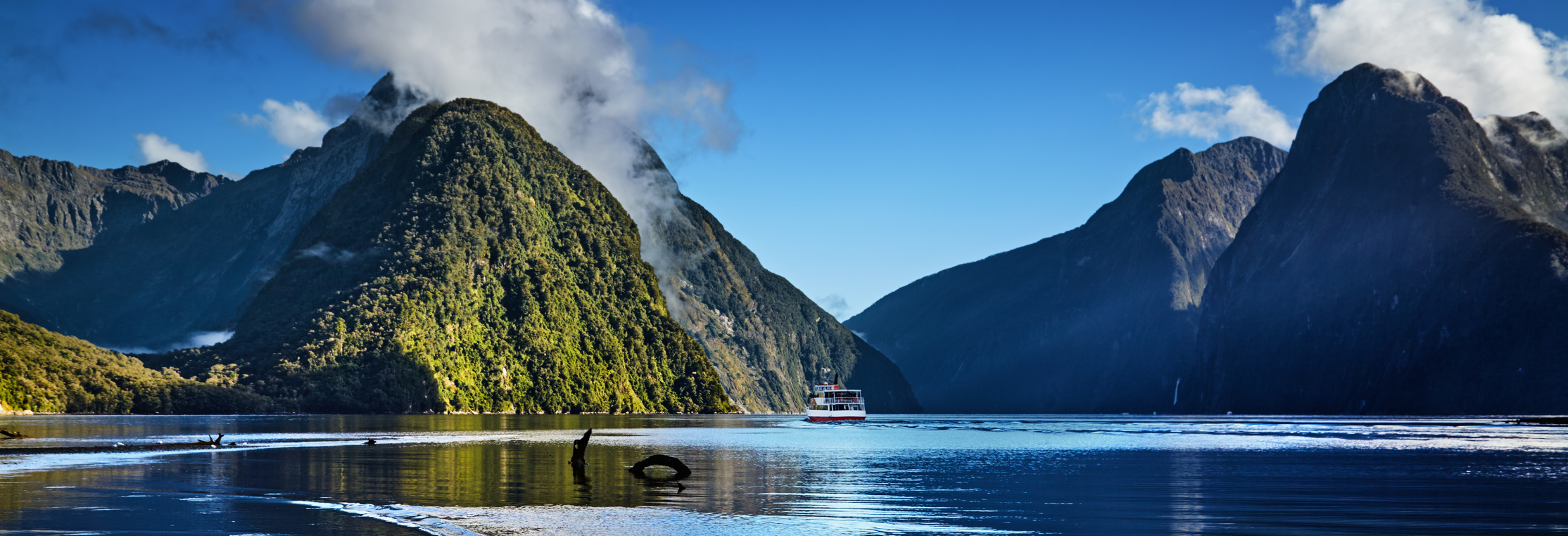 New Zealand Journey Tours & Train - Image 4