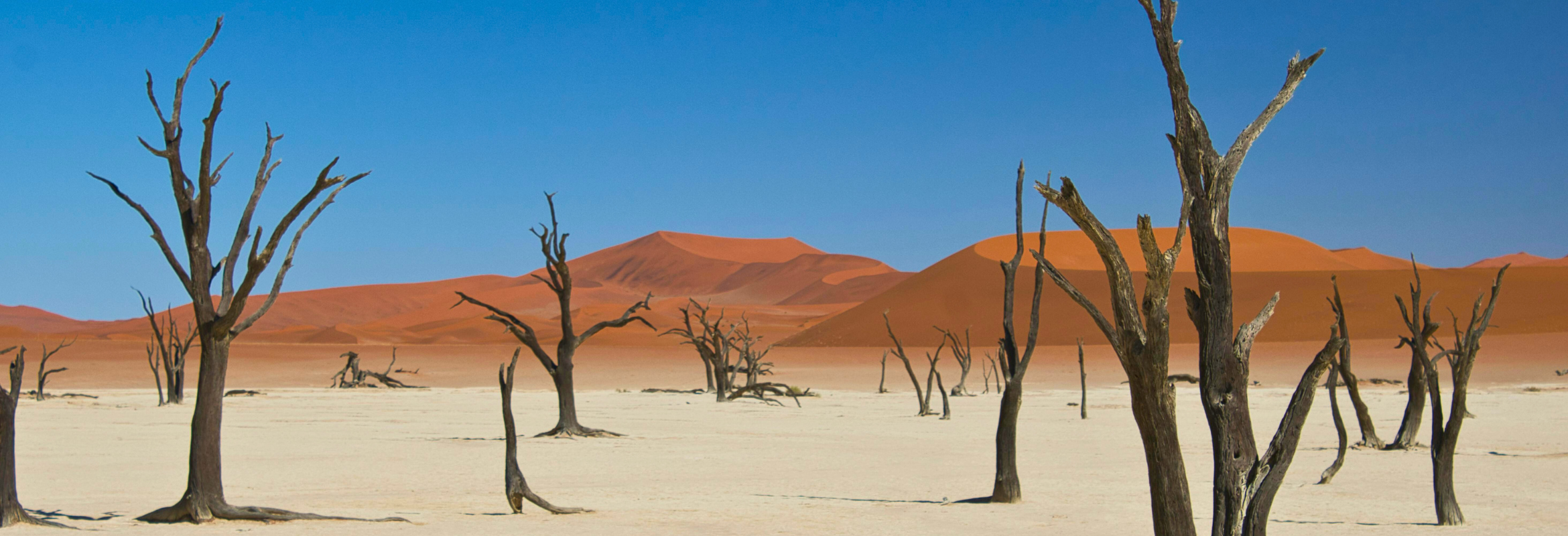 Namibia Special Circle