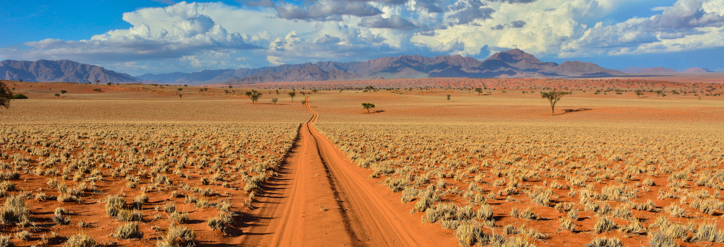 Namibia, Chobe and Victoria Falls - Image 5