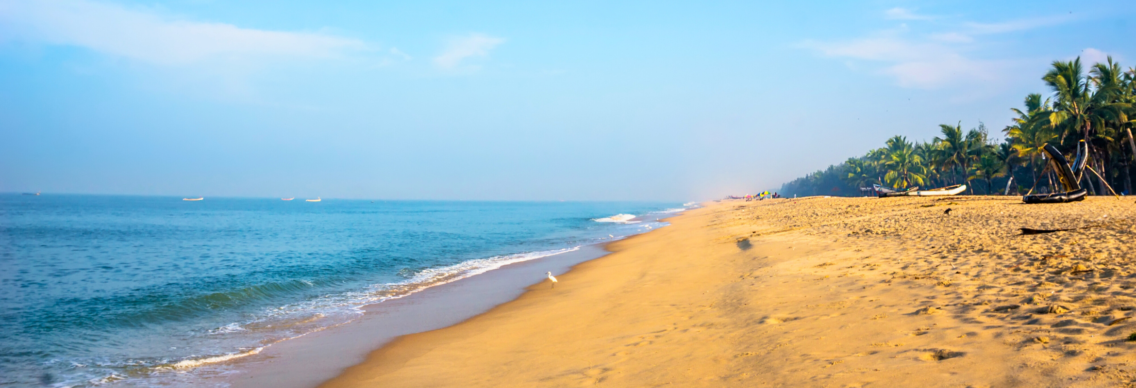 Classical Golden Triangle & Kerala Break - Image 10
