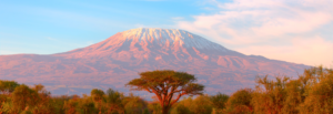 Kilimanjaro Trekking