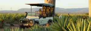 Madagascar - Mandrare River Camp & Namoroka Tsingy Camp
