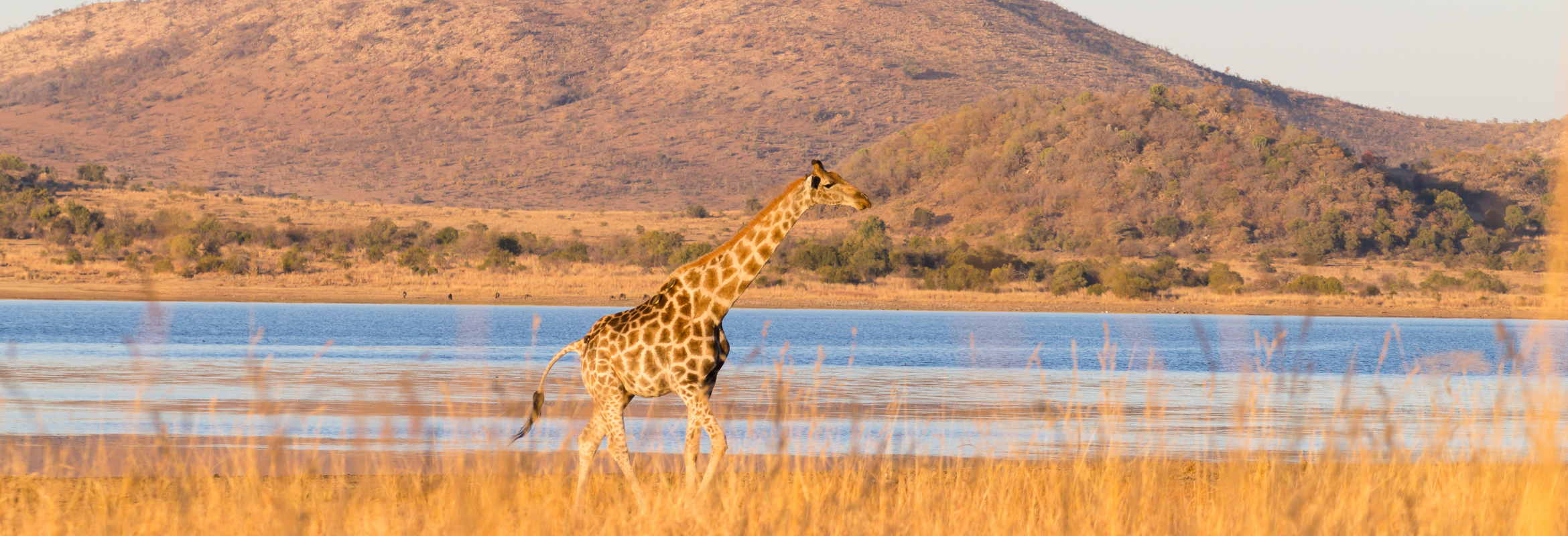 Namibian Self Drive Safari - Image 4