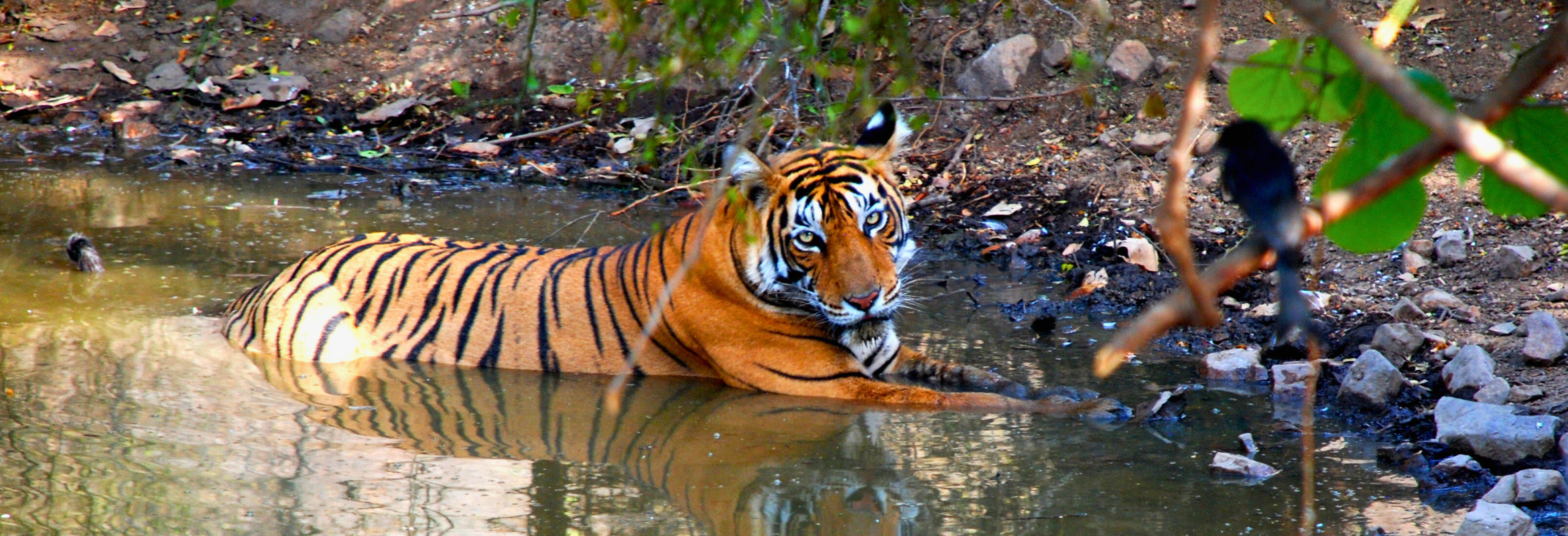 Classical Golden Triangle & Kerala Break - Image 7