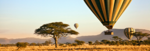 Nyumbu Safari