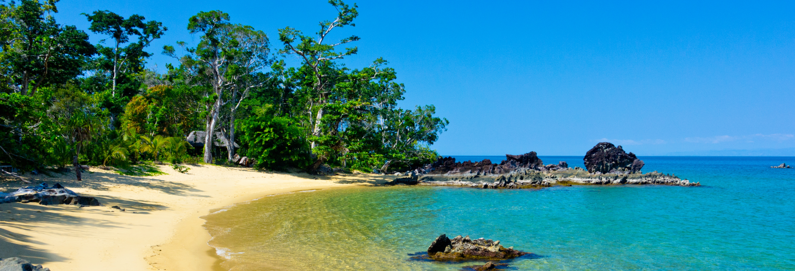 Madagascar - Andasibe, Mandrare & Namoroka - Image 3