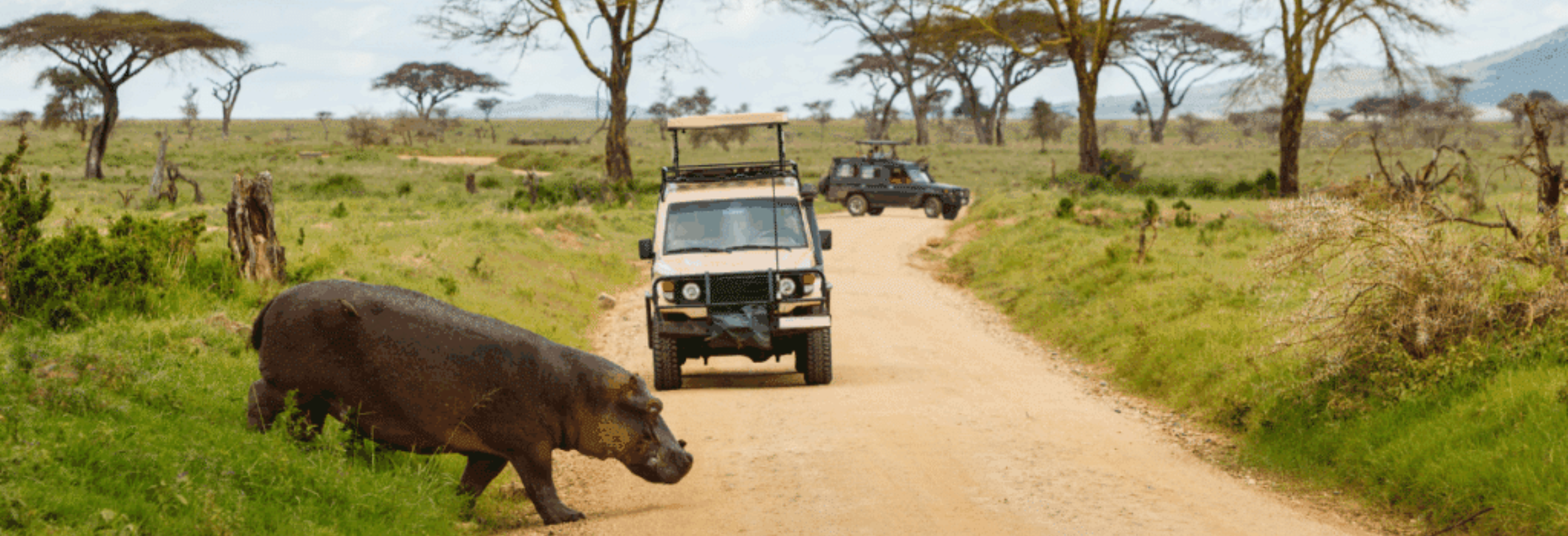 Namibian Self Drive Safari - Image 3