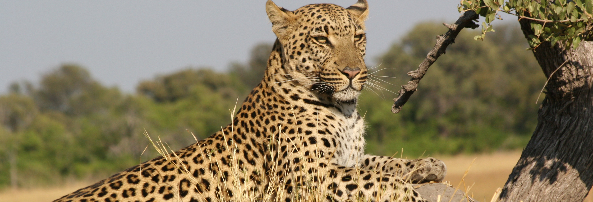 Zambezi Grande, Chikunto & Chundukwa