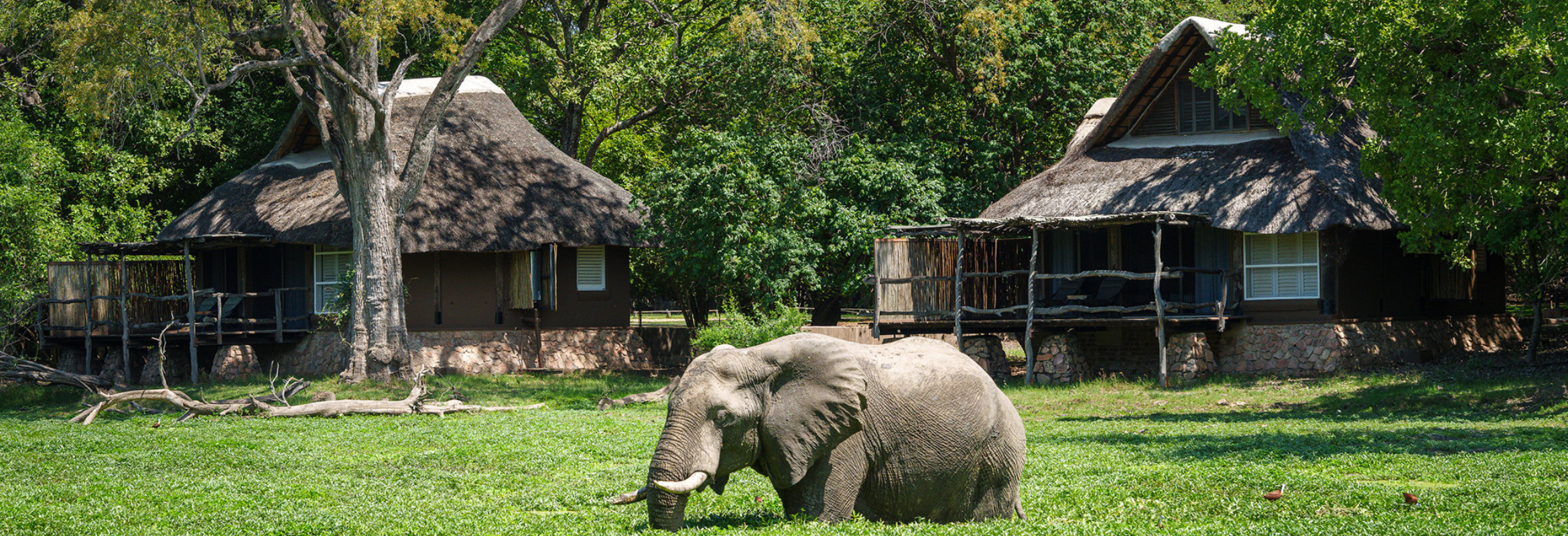 Zambia Walking Safari - Image 2