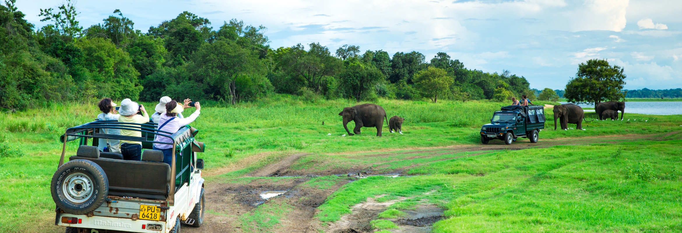 Sri Lanka Honeymoon - Image 6