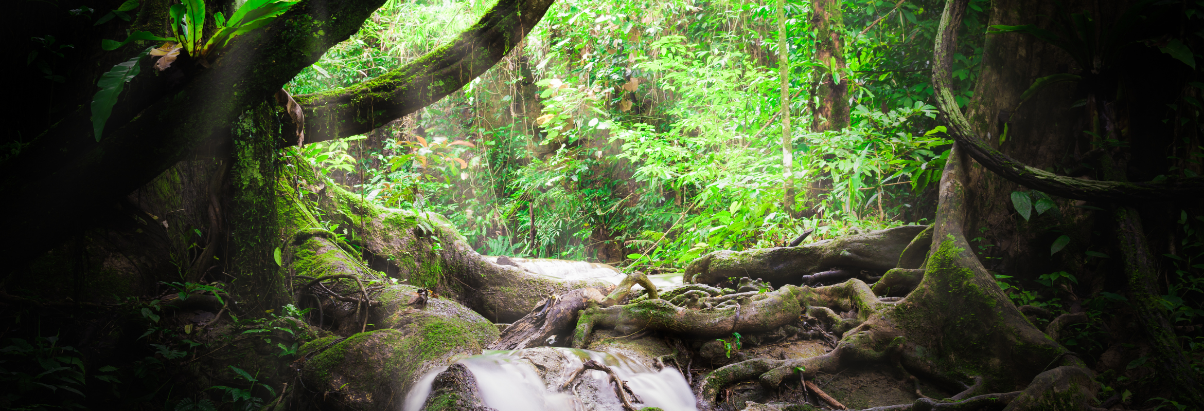 Thailand on a Shoestring - Image 7