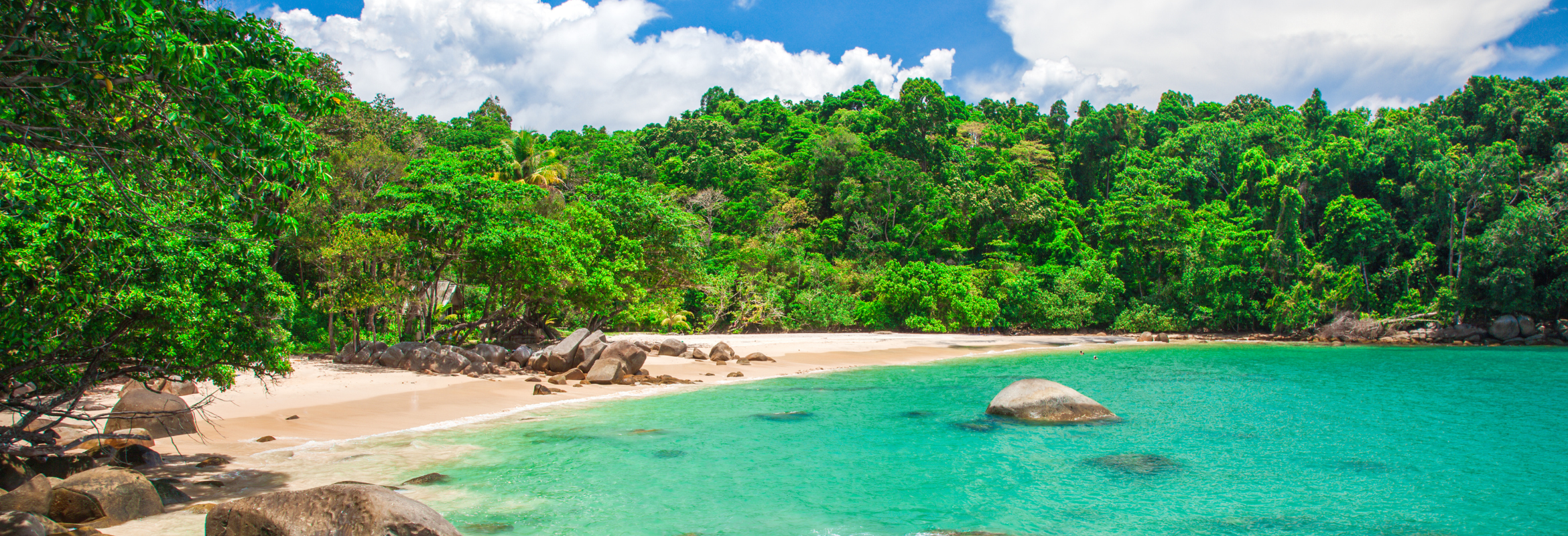 Thailand Jungle Wildlife & Beaches - Image 6