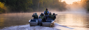 Borneo Birding Highlights