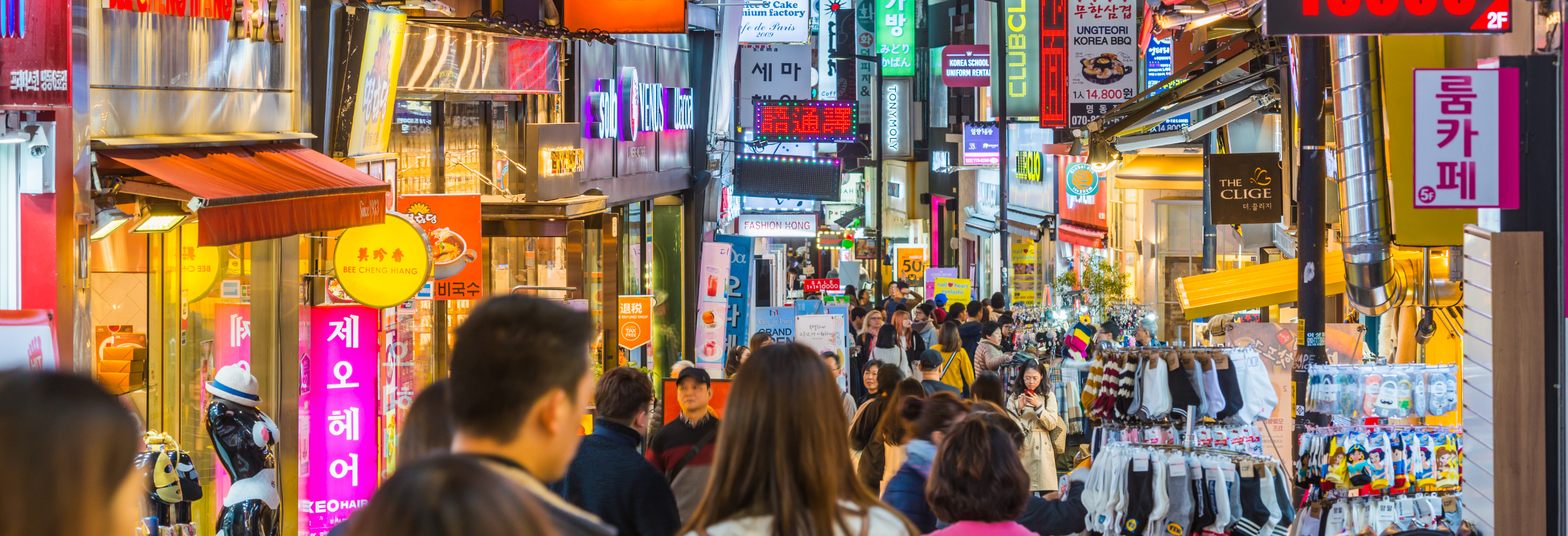 South Korea on a Shoestring - Image 5